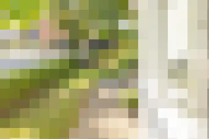 Groenendaal 14 Kesteren thumbnail 42