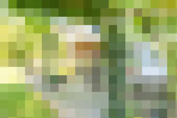 Groenendaal 14 Kesteren thumbnail 45