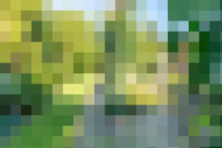 Groenendaal 14 Kesteren thumbnail 46