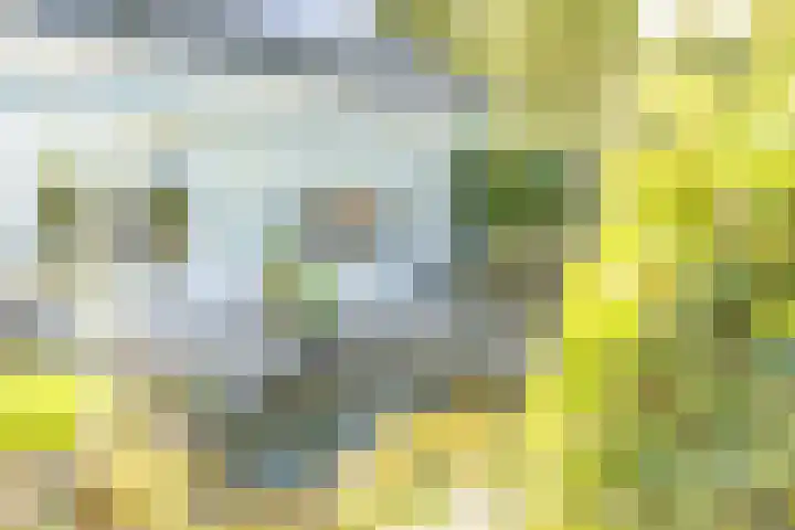 Groenendaal 14 Kesteren thumbnail 47