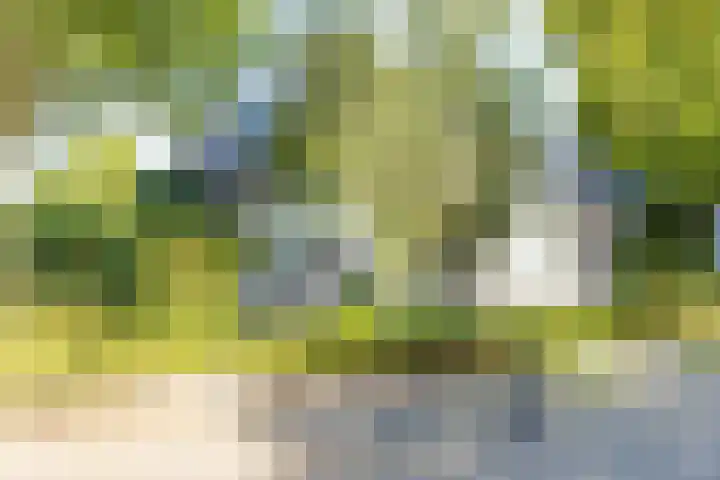 Groenendaal 14 Kesteren thumbnail 5