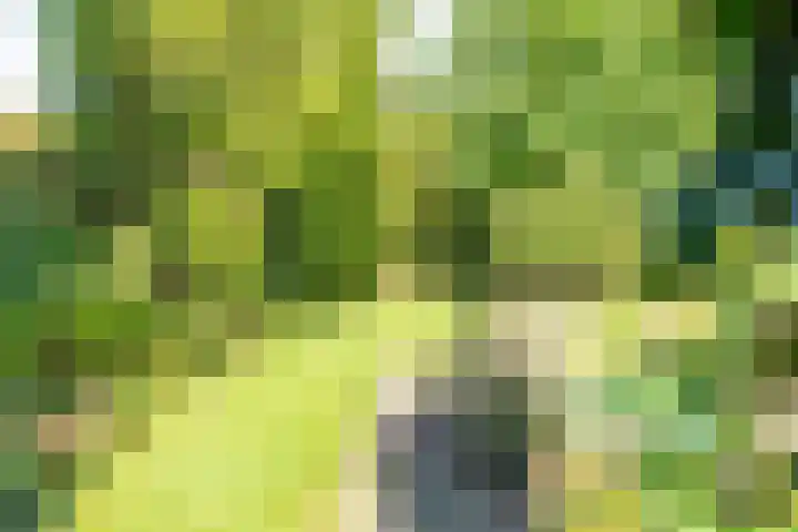 Groenendaal 14 Kesteren thumbnail 50