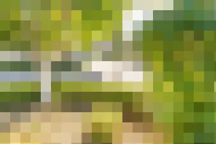 Groenendaal 14 Kesteren thumbnail 52