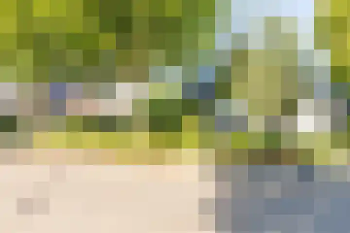 Groenendaal 14 Kesteren thumbnail 54