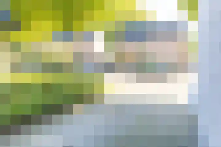 Groenendaal 14 Kesteren thumbnail 57