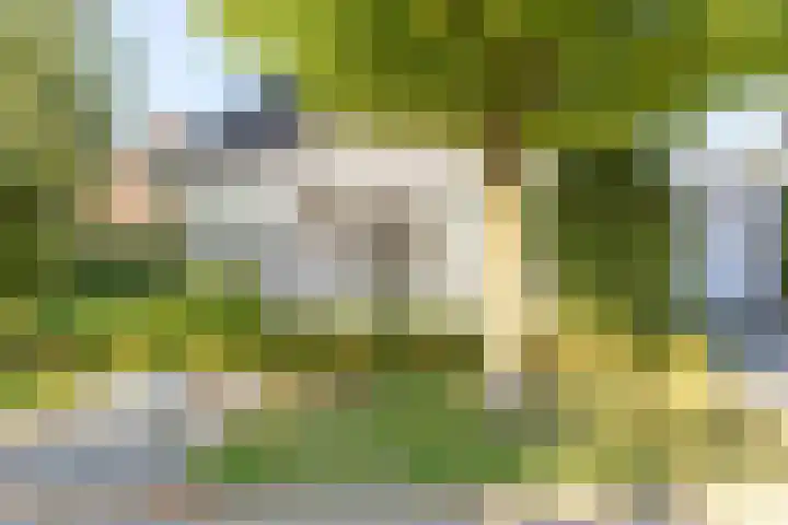 Groenendaal 14 Kesteren thumbnail 58