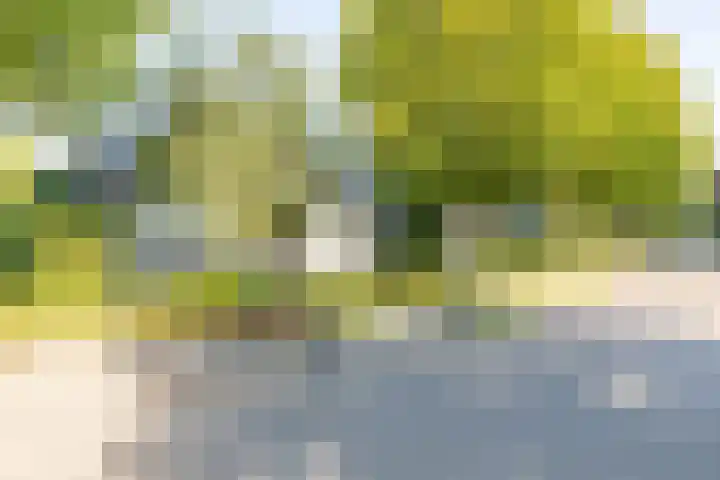 Groenendaal 14 Kesteren thumbnail 6
