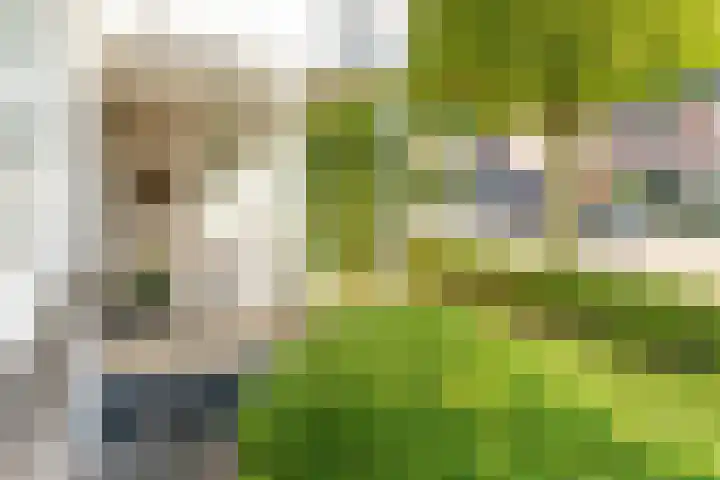 Groenendaal 14 Kesteren thumbnail 7