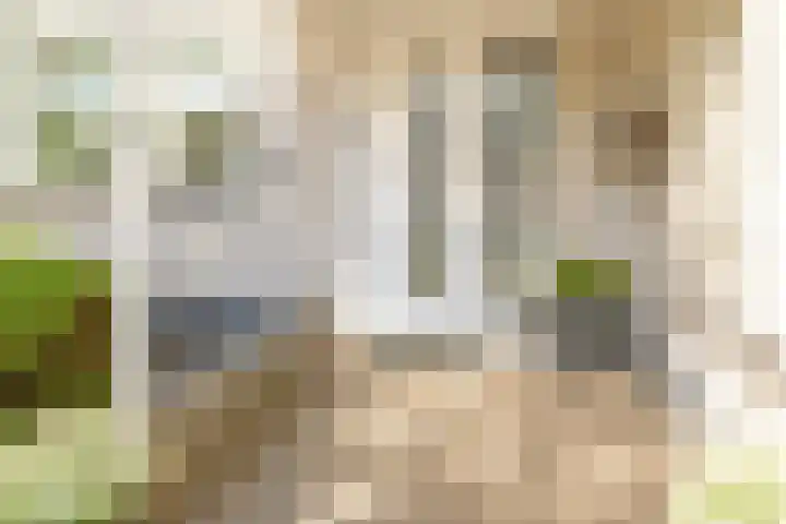 Groenendaal 14 Kesteren thumbnail 8