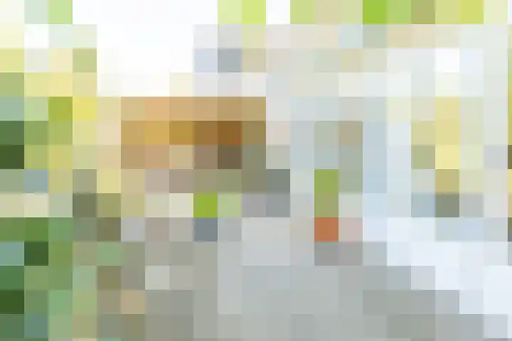 Groenendaal 14 Kesteren thumbnail 80