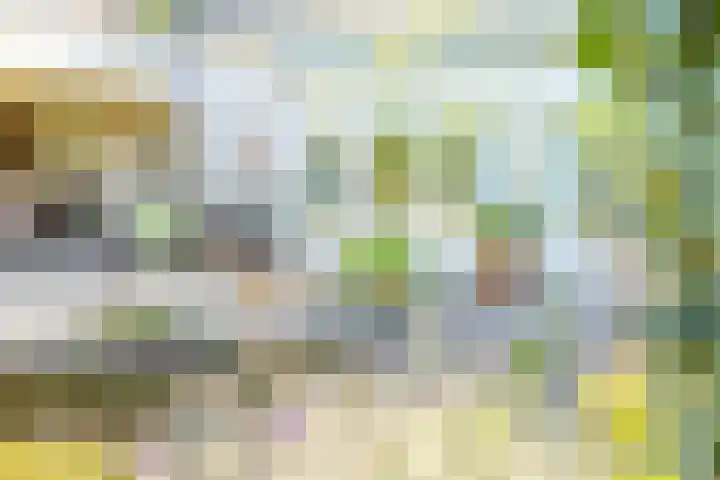 Groenendaal 14 Kesteren thumbnail 81
