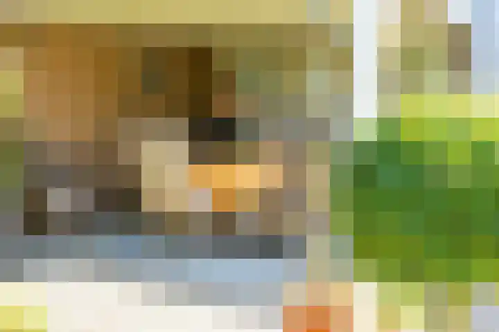 Groenendaal 14 Kesteren thumbnail 82
