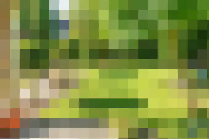 Groenendaal 14 Kesteren thumbnail 83