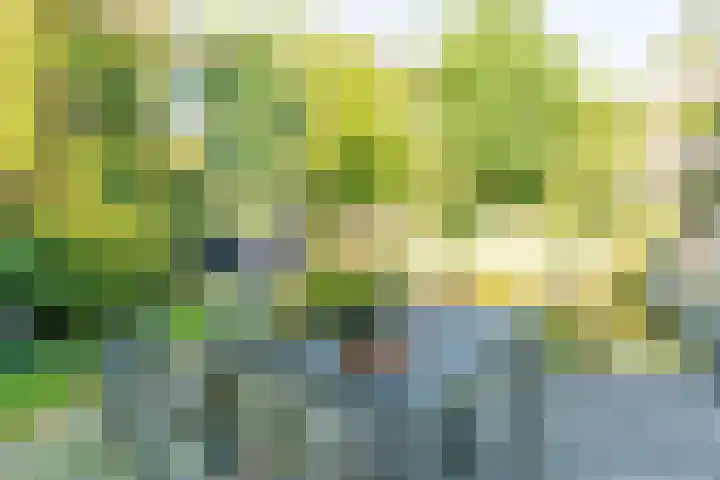 Groenendaal 14 Kesteren thumbnail 84