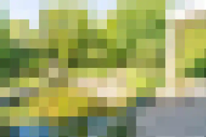 Groenendaal 14 Kesteren thumbnail 86