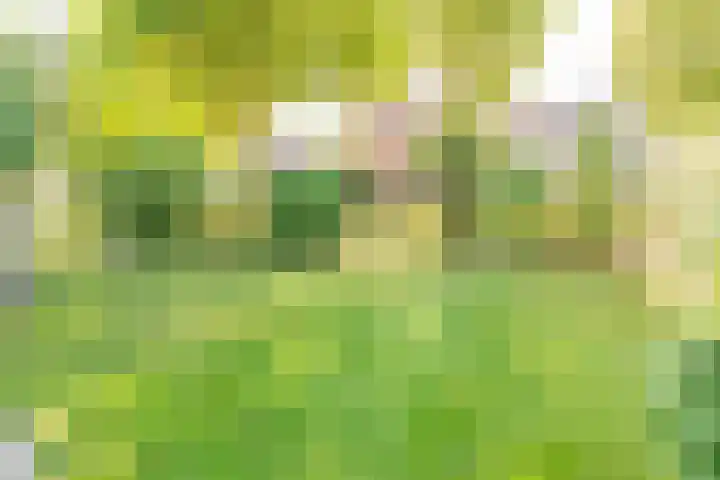 Groenendaal 14 Kesteren thumbnail 87