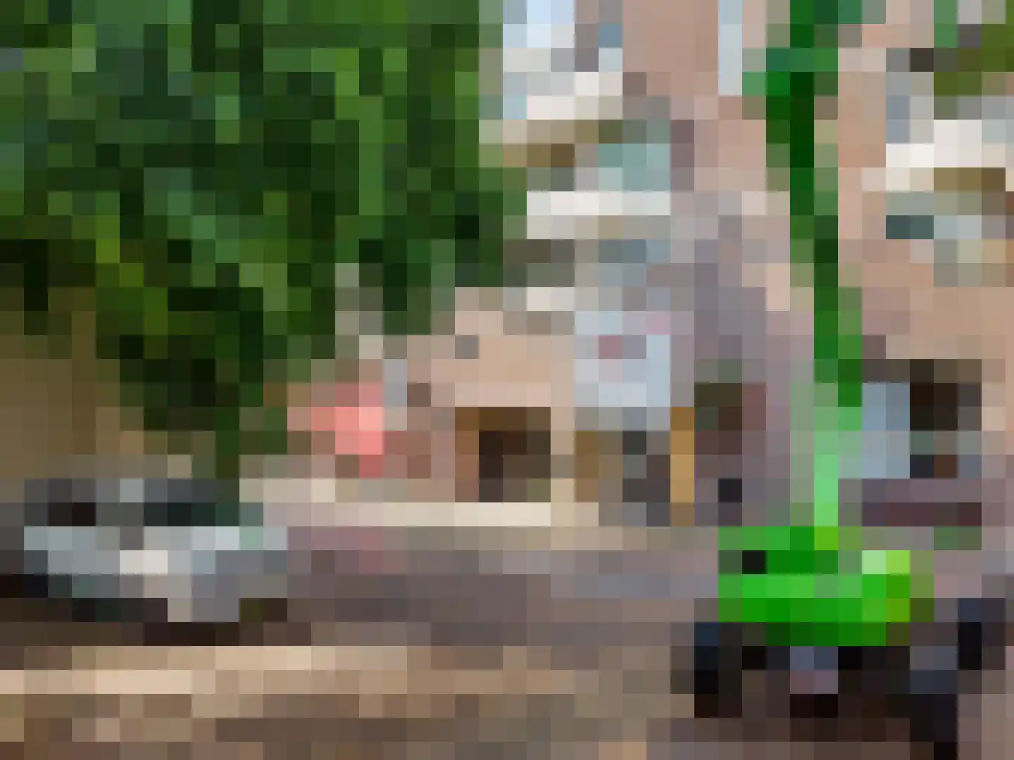 Groenendaal 16 Woerden thumbnail 41