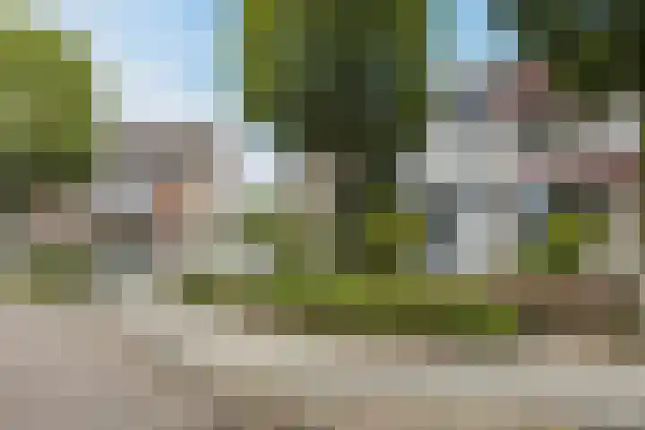 Groenendaal 18 Halsteren thumbnail 10