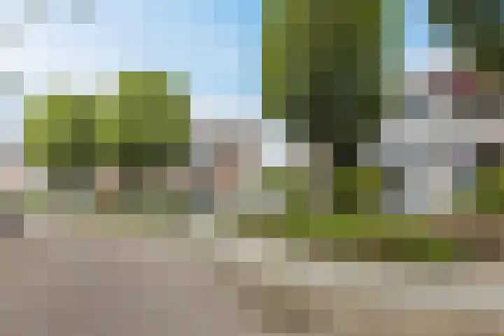 Groenendaal 18 Halsteren thumbnail 11
