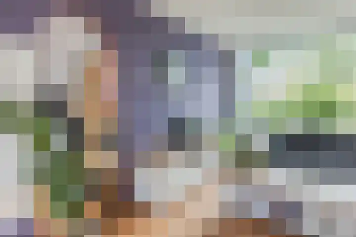 Groenendaal 18 Halsteren thumbnail 12