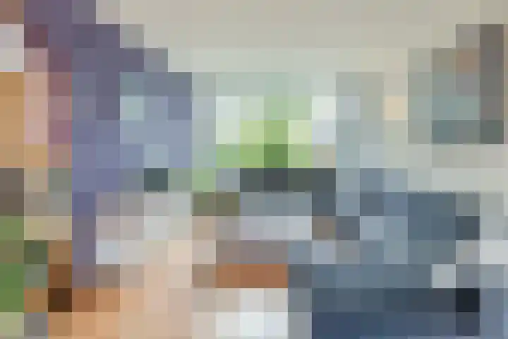 Groenendaal 18 Halsteren thumbnail 13