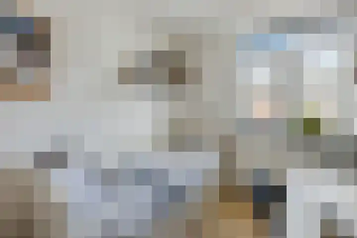 Groenendaal 18 Halsteren thumbnail 25