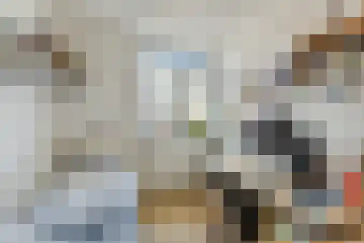 Groenendaal 18 Halsteren thumbnail 26