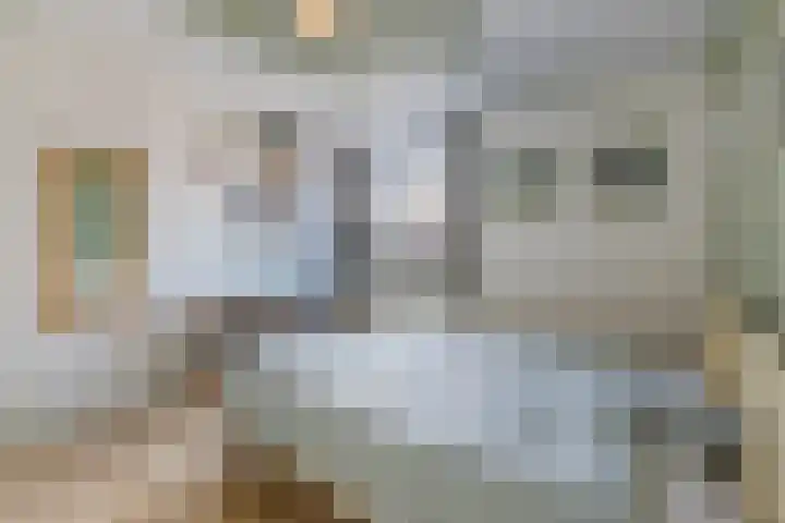 Groenendaal 18 Halsteren thumbnail 28