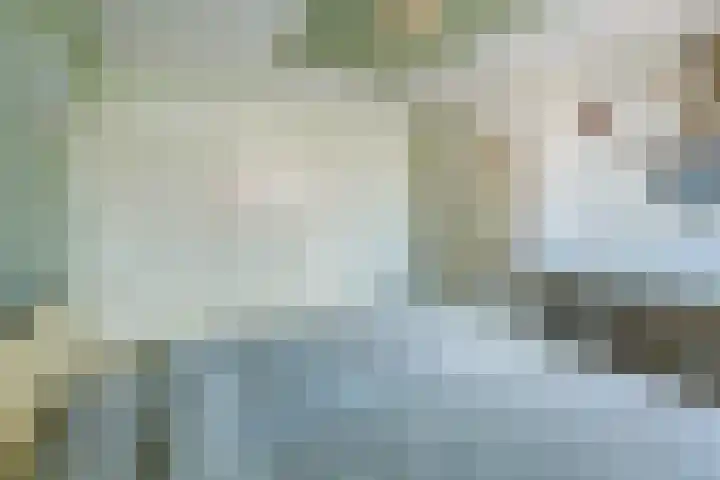 Groenendaal 18 Halsteren thumbnail 30