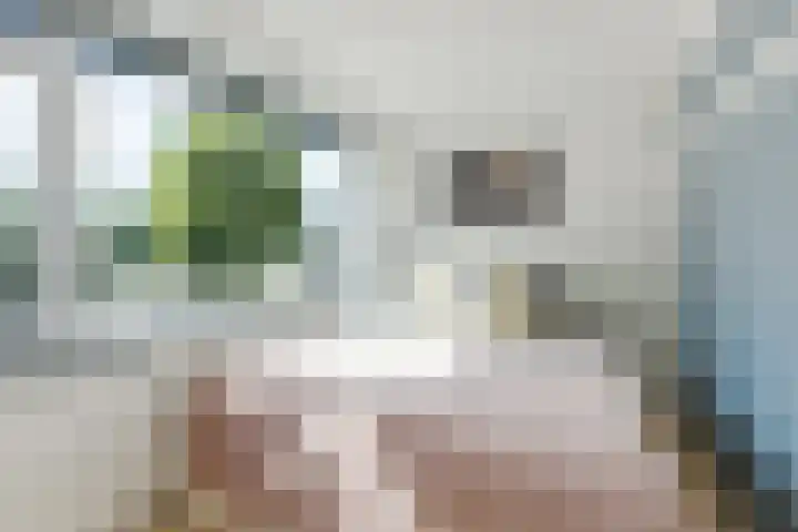 Groenendaal 18 Halsteren thumbnail 31