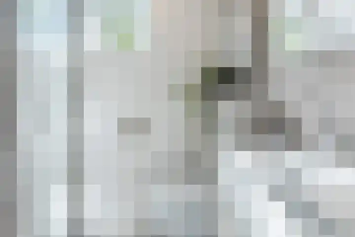 Groenendaal 18 Halsteren thumbnail 37
