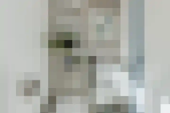 Groenendaal 18 Halsteren thumbnail 38