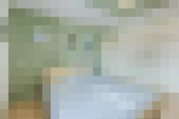 Groenendaal 18 Halsteren thumbnail 4