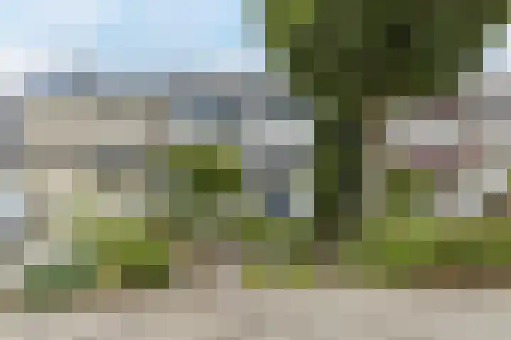 Groenendaal 18 Halsteren thumbnail 6