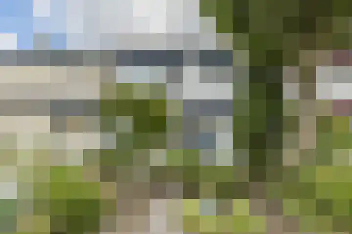 Groenendaal 18 Halsteren thumbnail 7