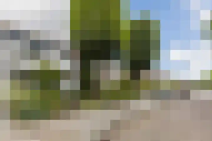 Groenendaal 18 Halsteren thumbnail 8