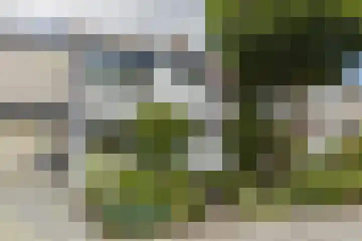 Groenendaal 18 Halsteren thumbnail 9