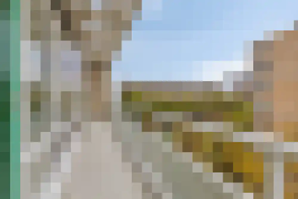 Groenendaal 195 Rotterdam thumbnail 10