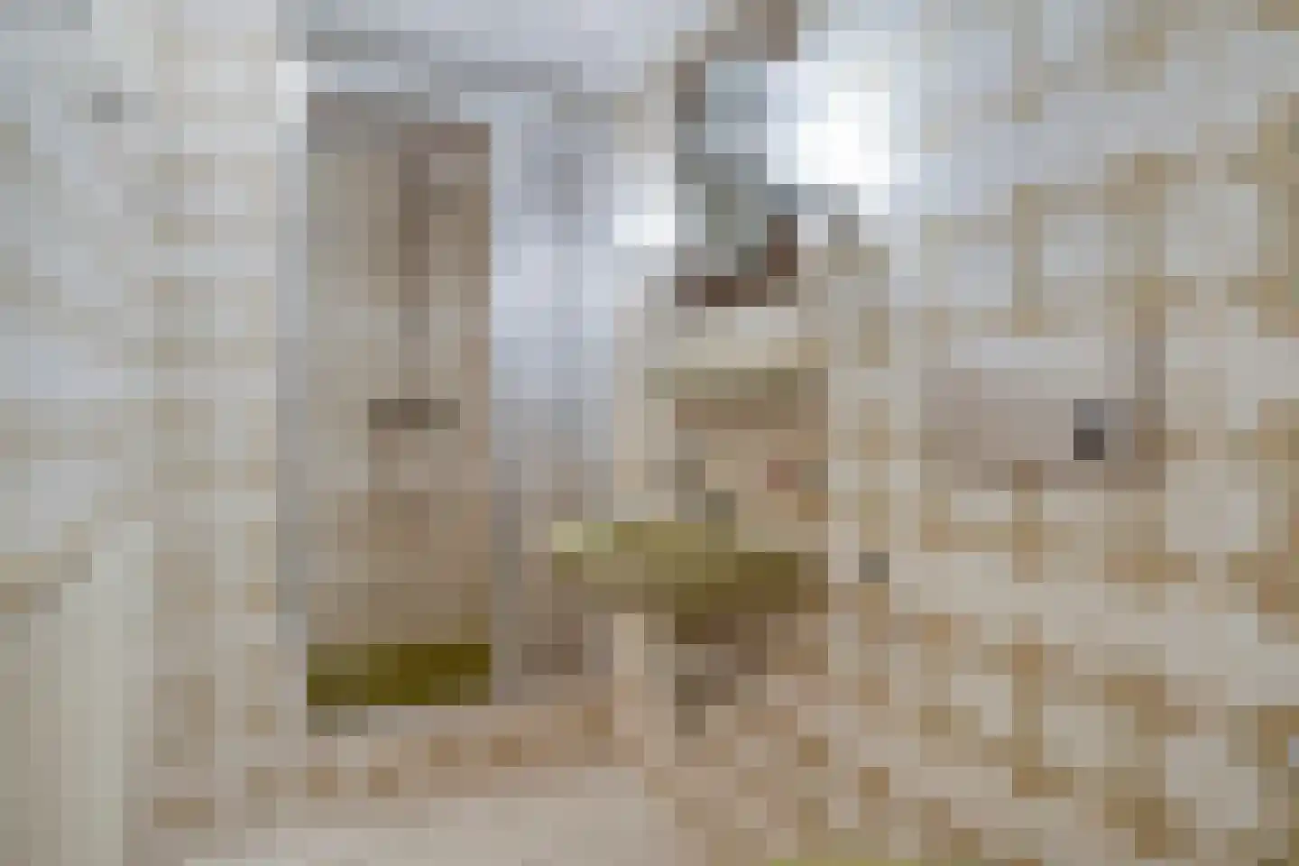 Groenendaal 2 Groningen thumbnail 33