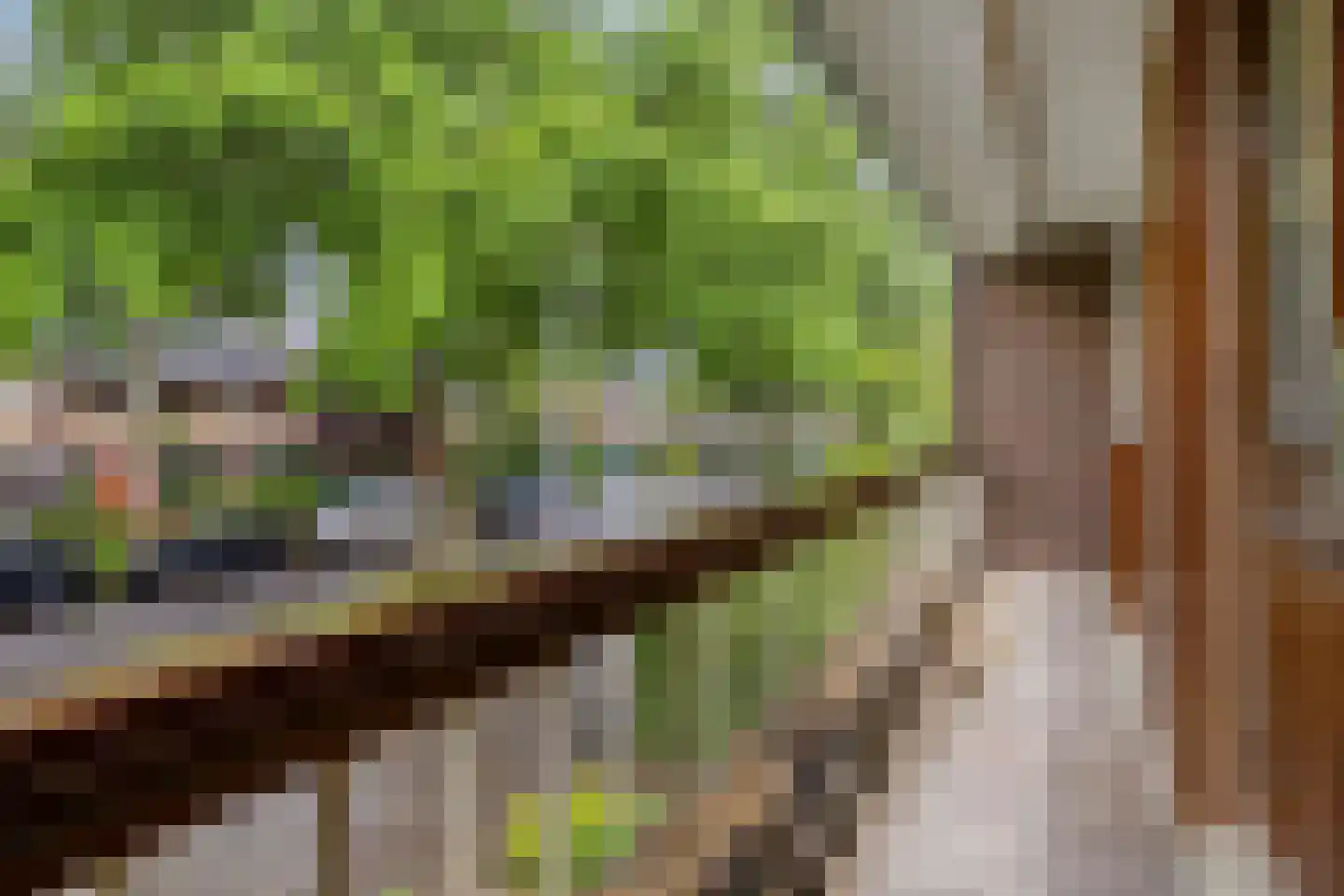 Groenendaal 2 Groningen thumbnail 42