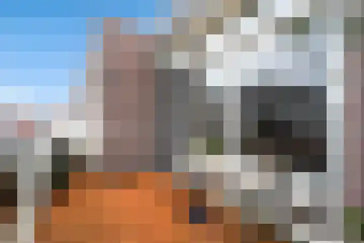 Groenendaal 20 Woerden thumbnail 31