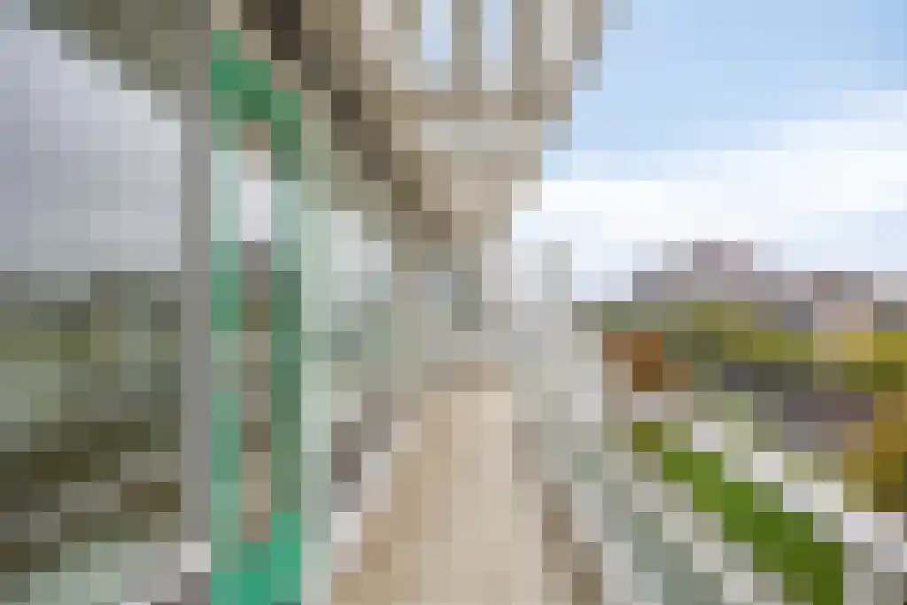 Groenendaal 213 Rotterdam thumbnail 4
