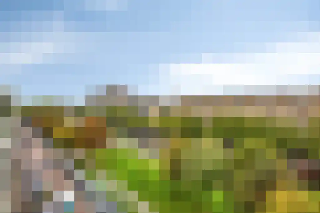 Groenendaal 213 Rotterdam thumbnail 5