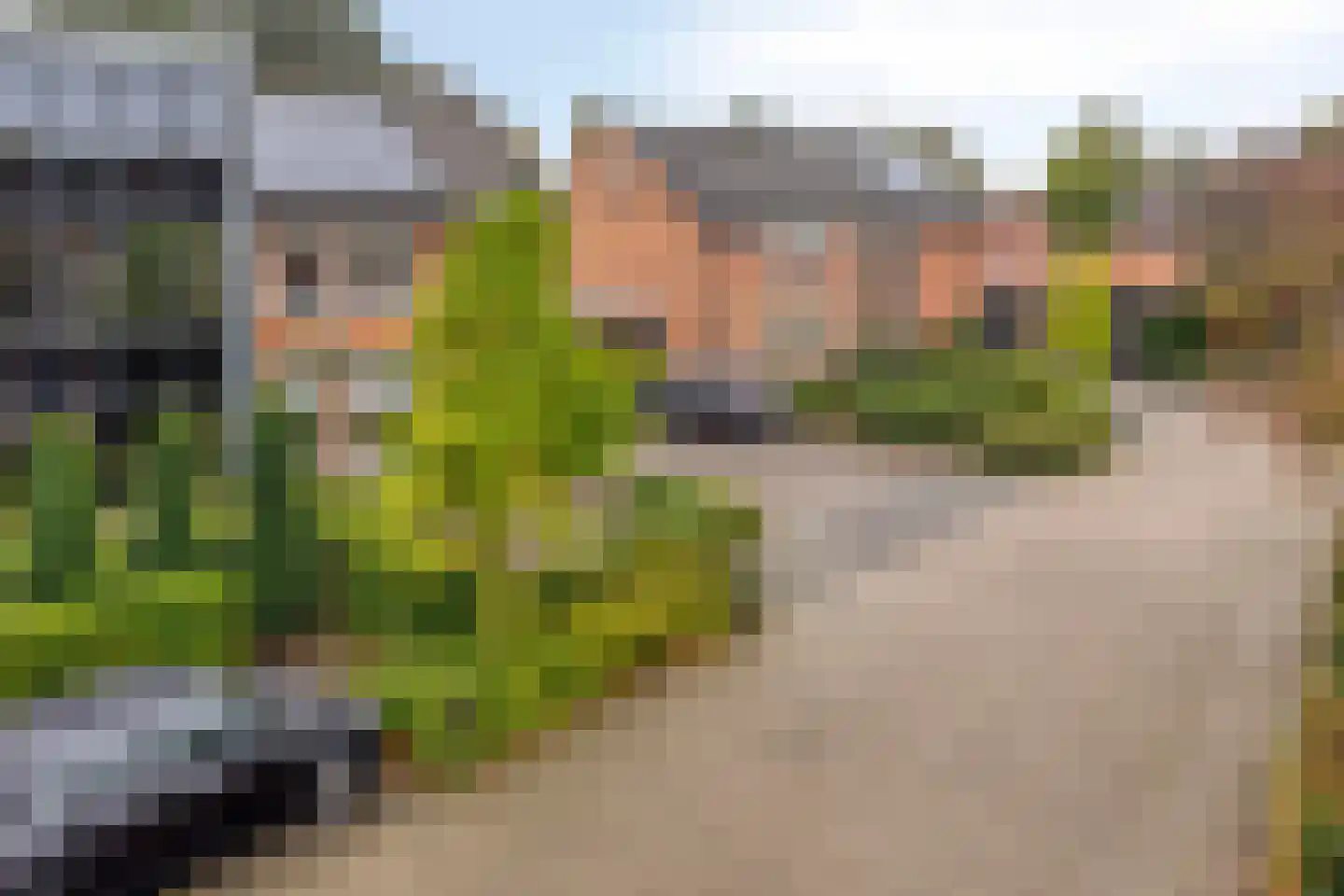 Groenendaal 22 Milheeze thumbnail 31