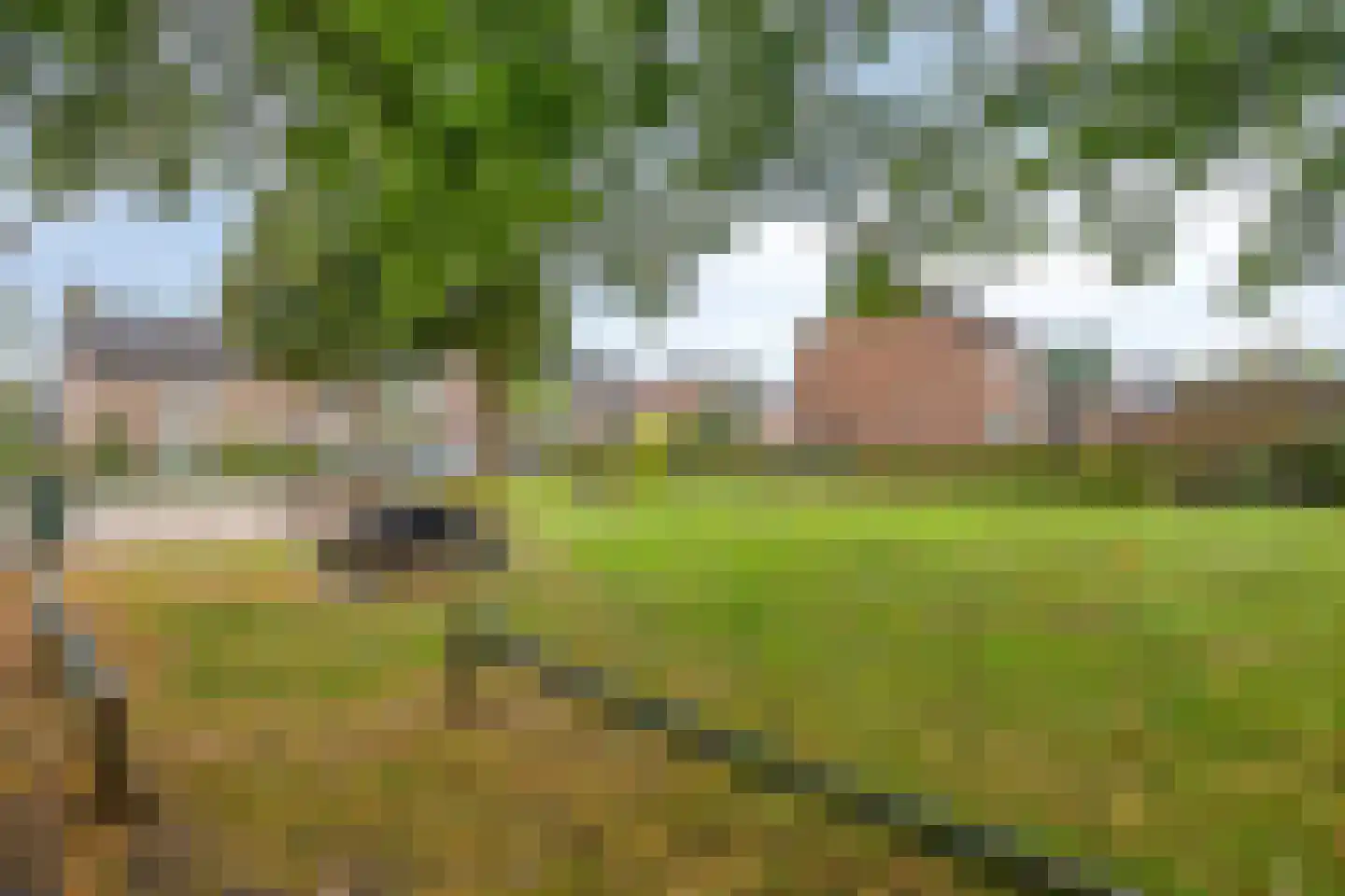 Groenendaal 22 Milheeze thumbnail 41