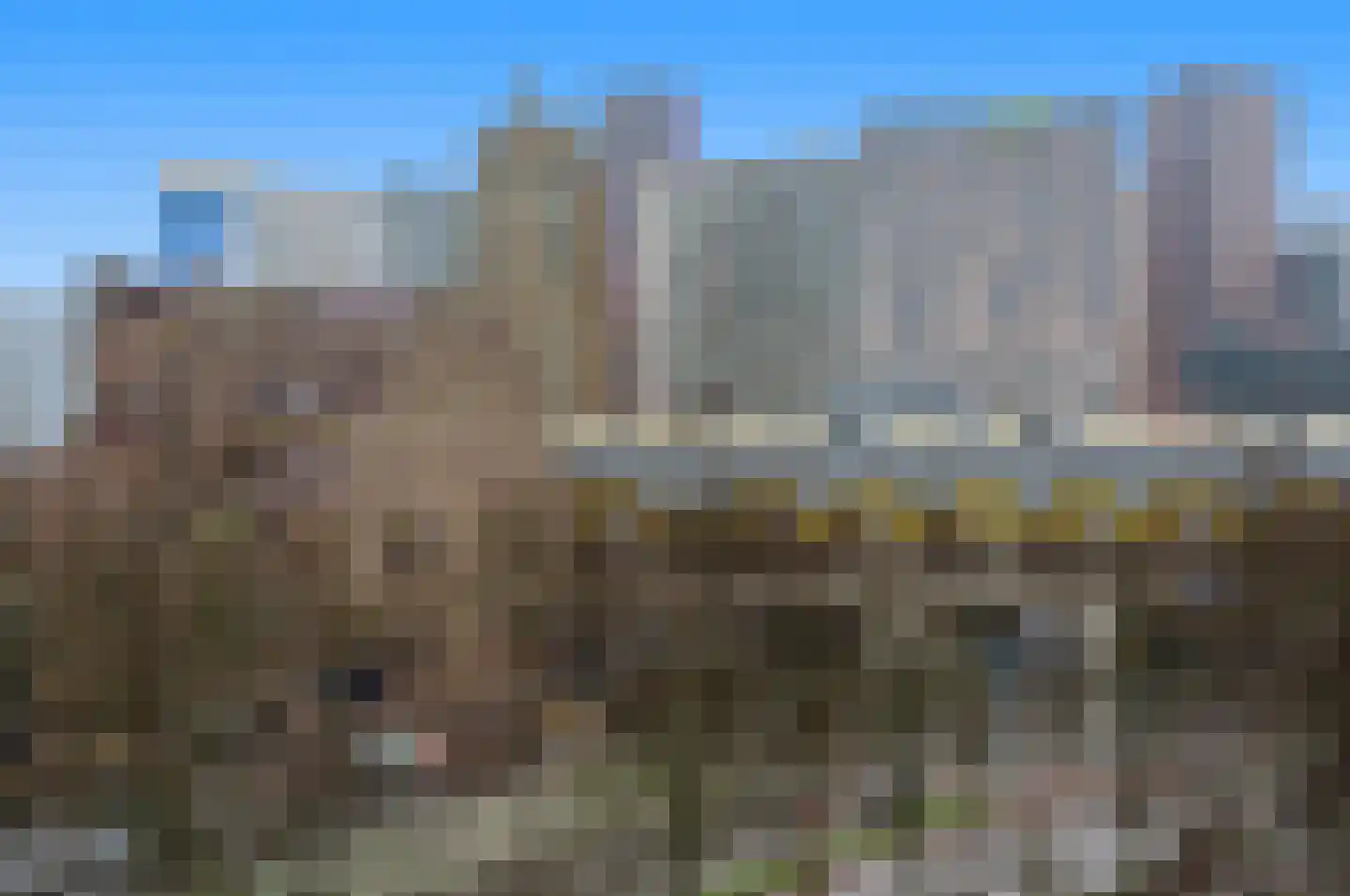 Groenendaal 279 Rotterdam thumbnail 27