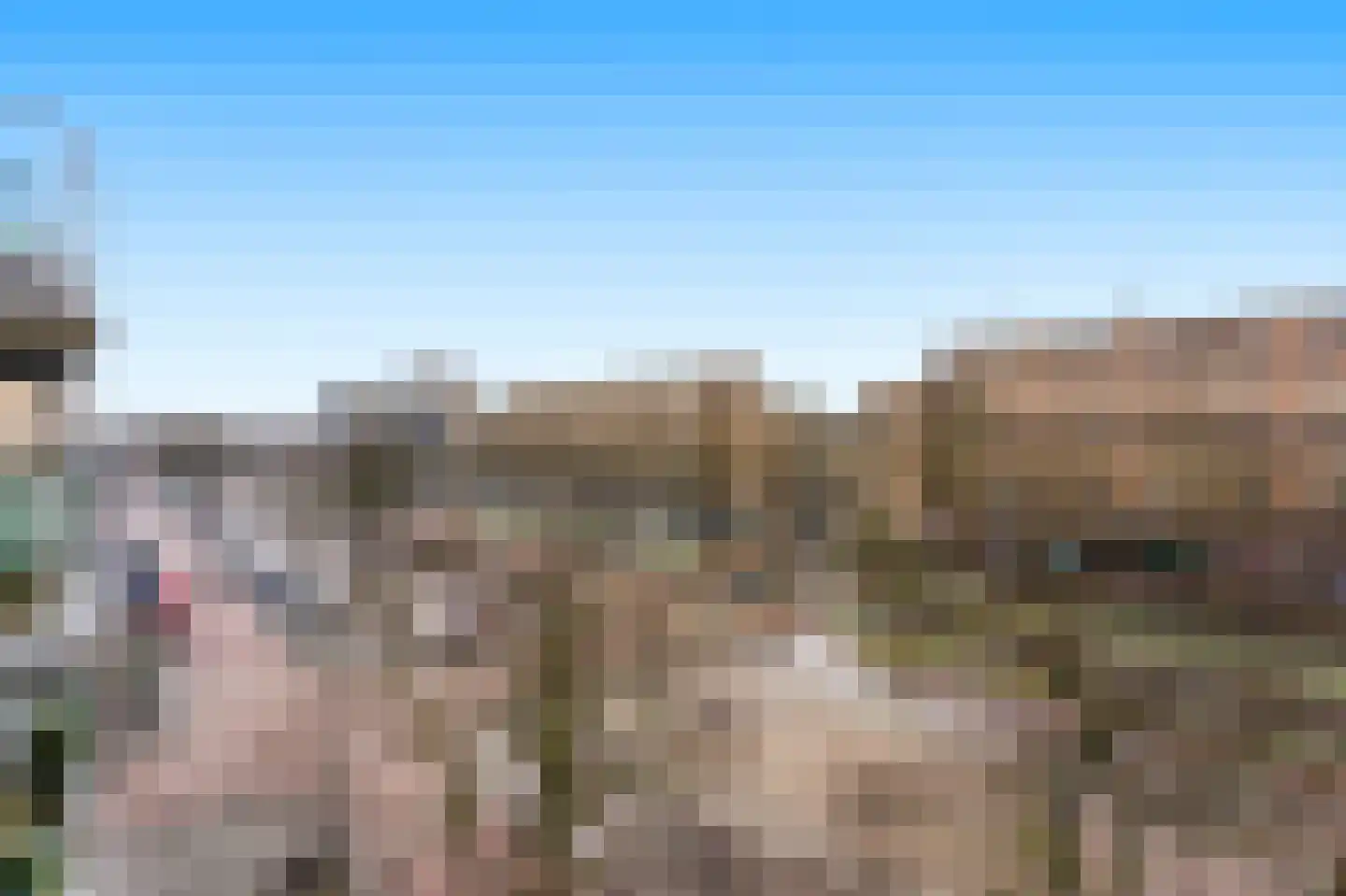Groenendaal 279 Rotterdam thumbnail 31