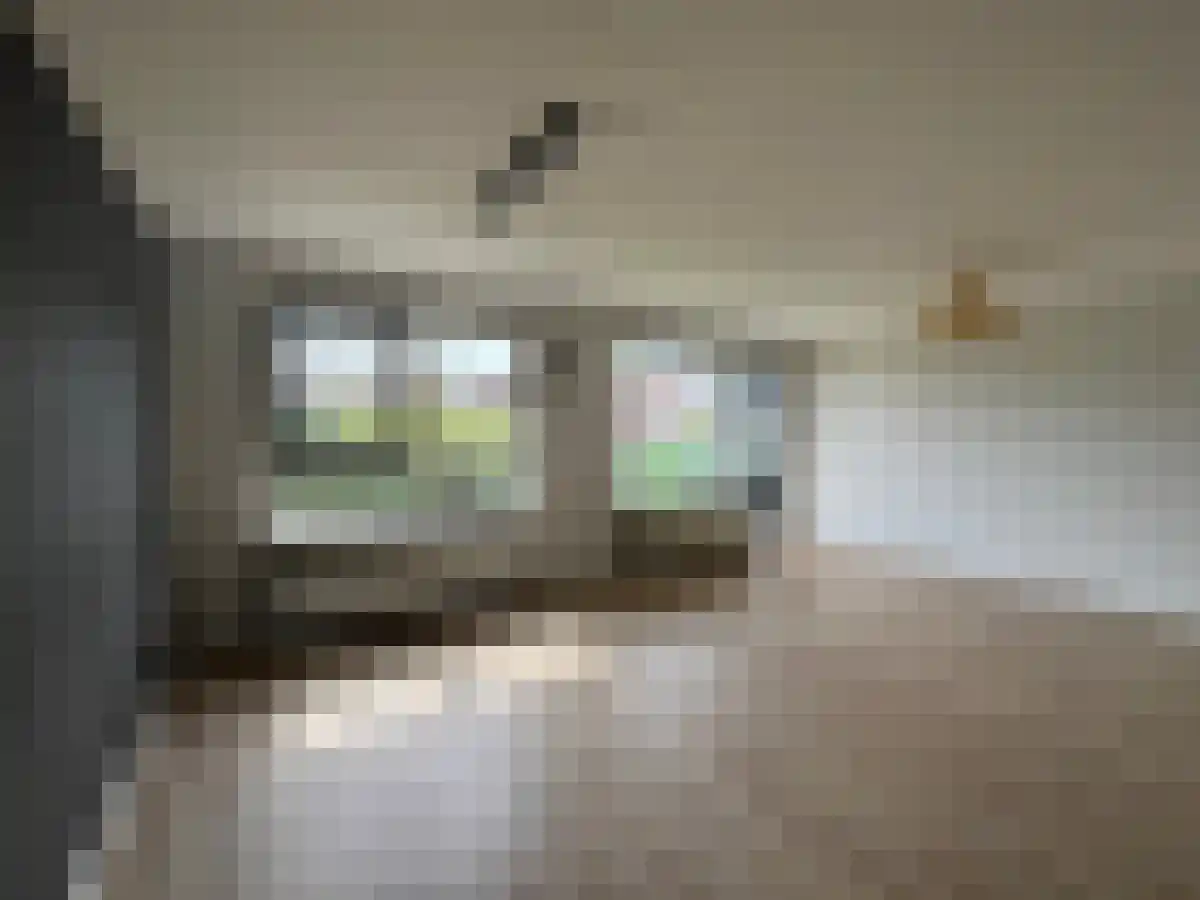 Groenendaal 335 Rotterdam thumbnail 6