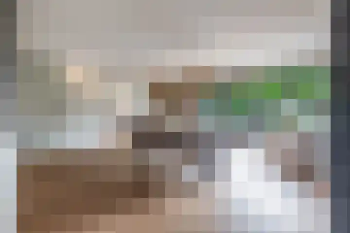Groenendaal 4 Udenhout thumbnail 13