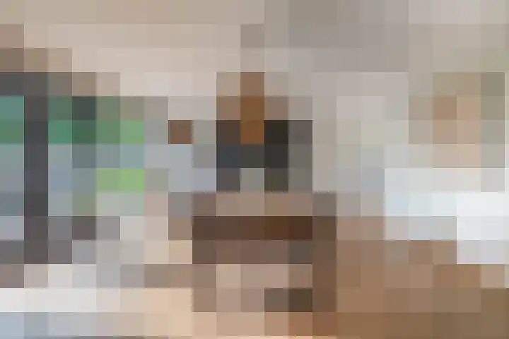 Groenendaal 4 Udenhout thumbnail 17